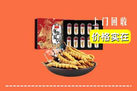 秦皇岛海港区回收冬虫夏草